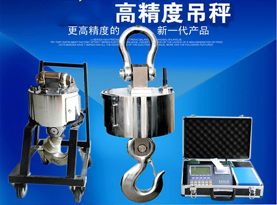 無線數(shù)傳電子吊秤