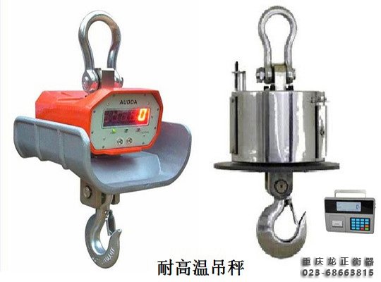 無線數(shù)傳電子吊秤