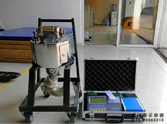 無線數(shù)傳電子吊秤